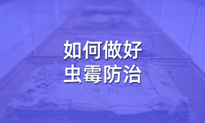 檔案修復(fù)后，如何做好蟲(chóng)霉防治