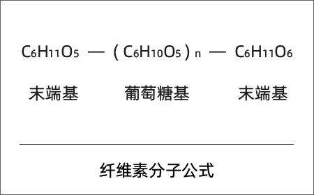 纖維素分子公式